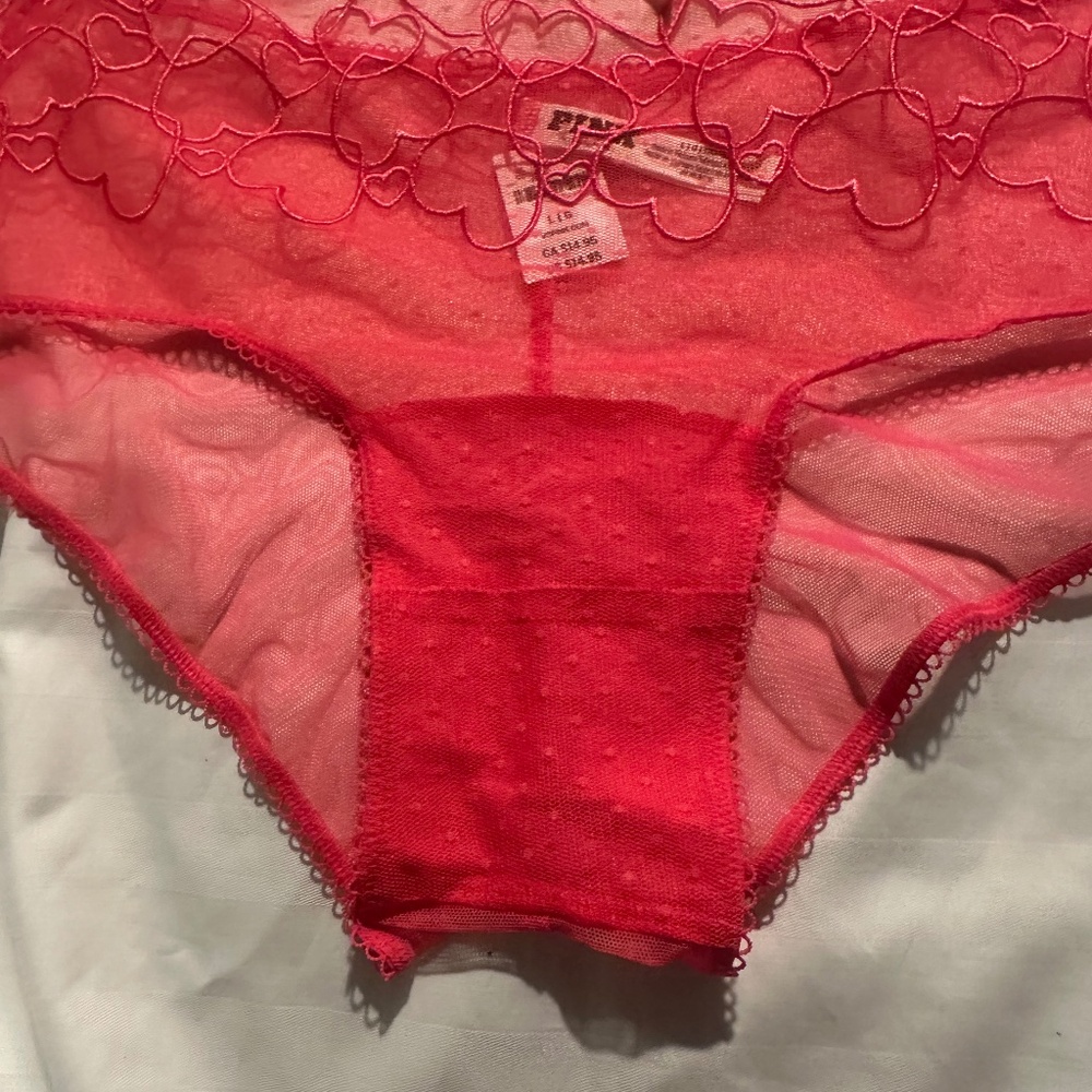 Victoria’s Secret Pink Wink Cheeky Panty Size L New